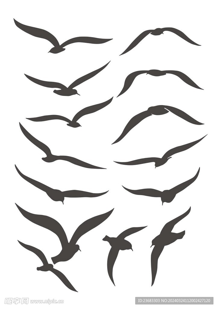 海鸥剪影矢量图素材
