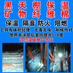 黑天棚海报