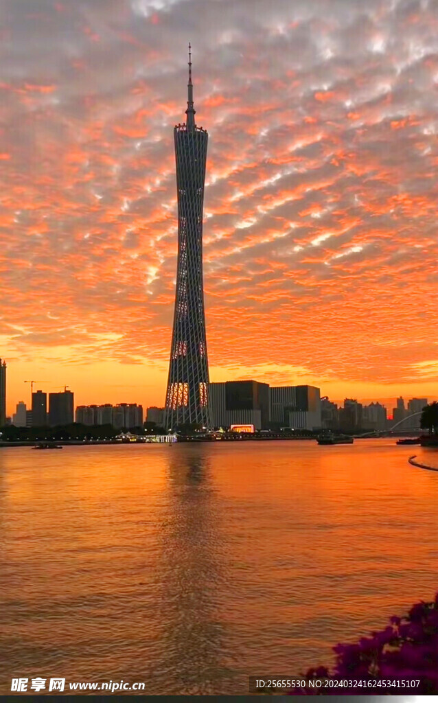 广州塔 海报背景