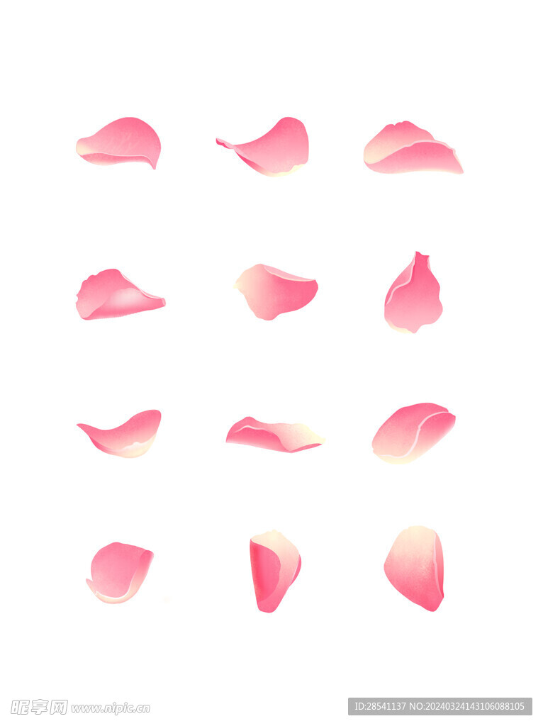 玫瑰花