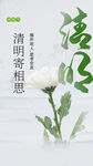 清明节