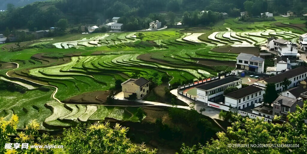 梯田