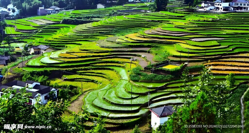 梯田