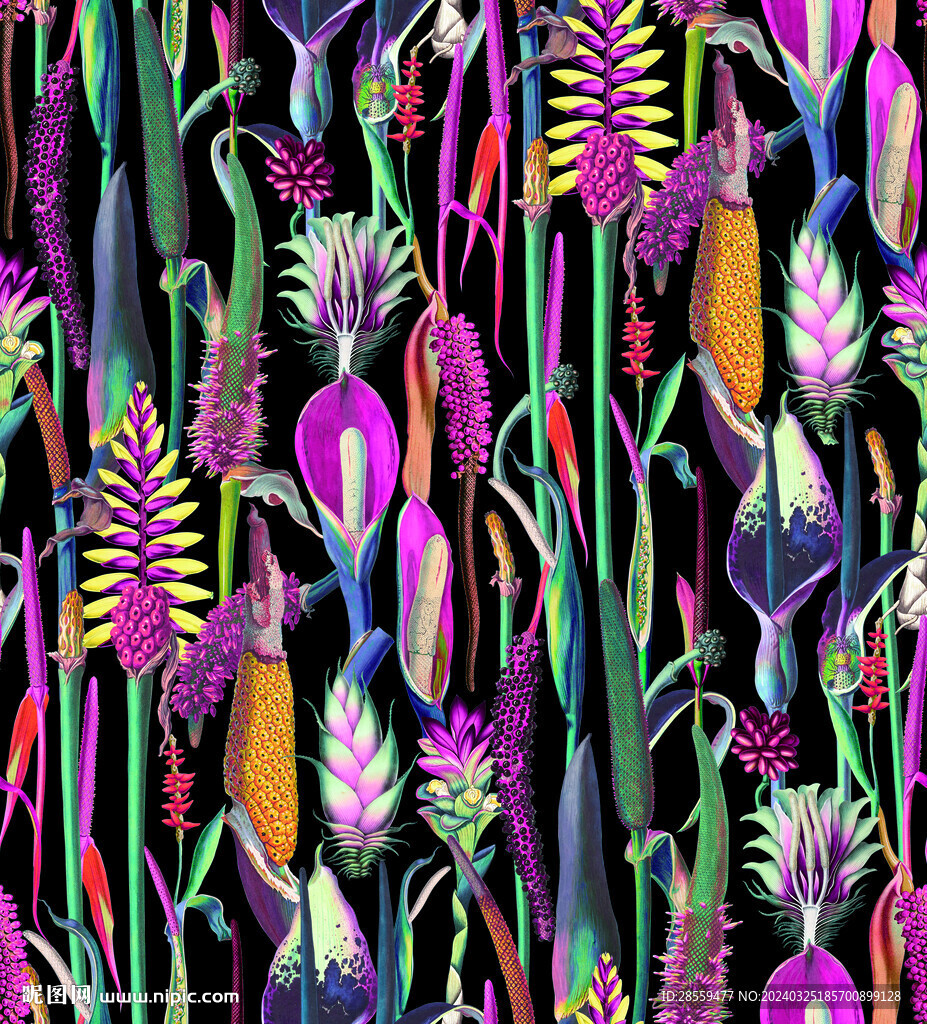 花苞 花蕊