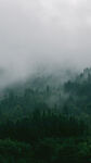 山