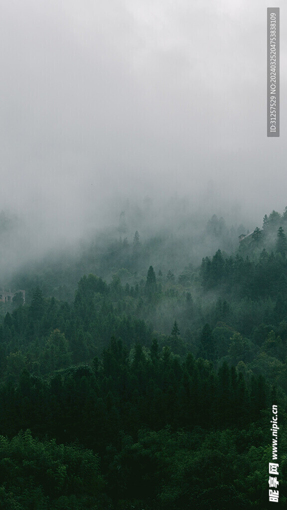 山