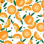 手绘橙子水果插画背景