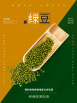 绿豆