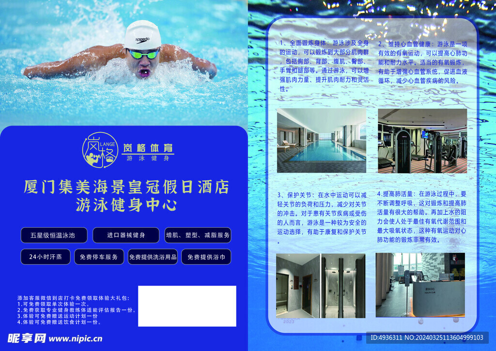 游泳宣传单   彩页 海报 