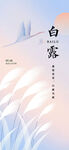 白露节气海报