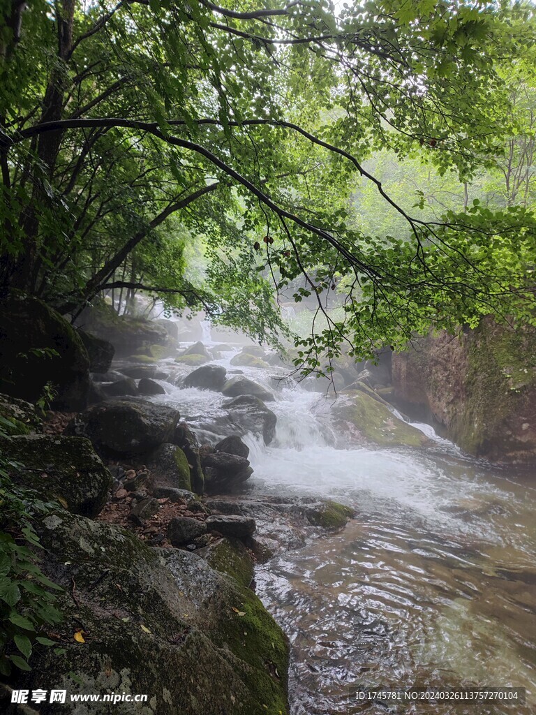 老边沟 溪水 自然景观