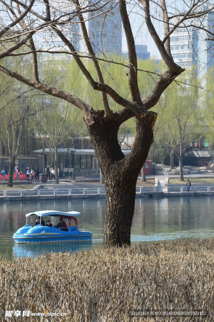 公园风景 