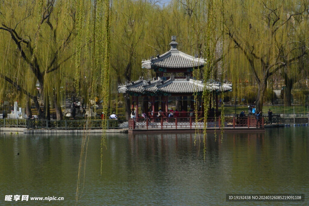 陶然亭风景 