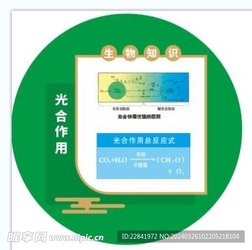 生物工程 光合作用