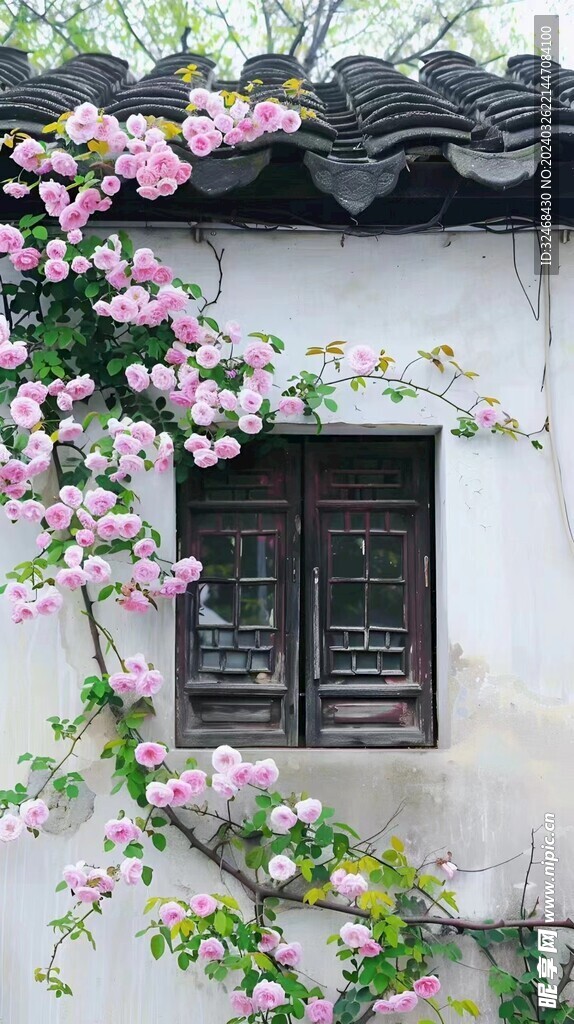 窗户旁鲜花