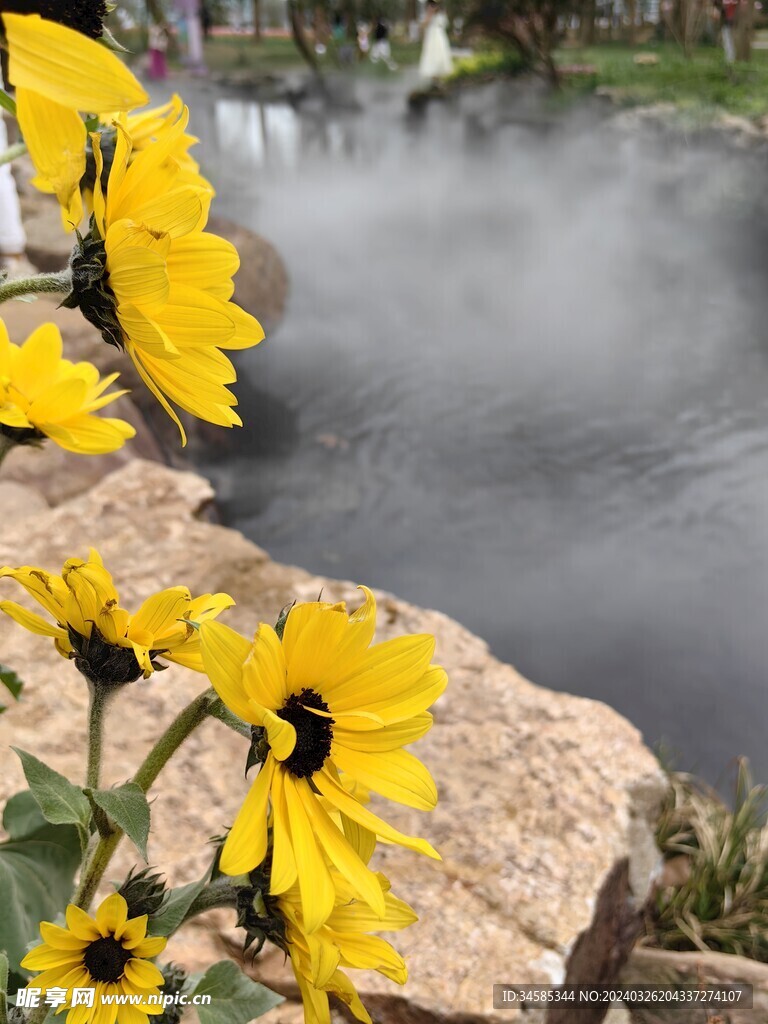 花 