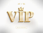 金色vip立体艺术字样机