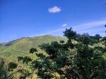青山