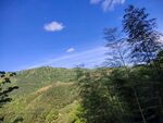 青山