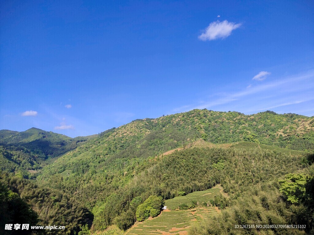 青山