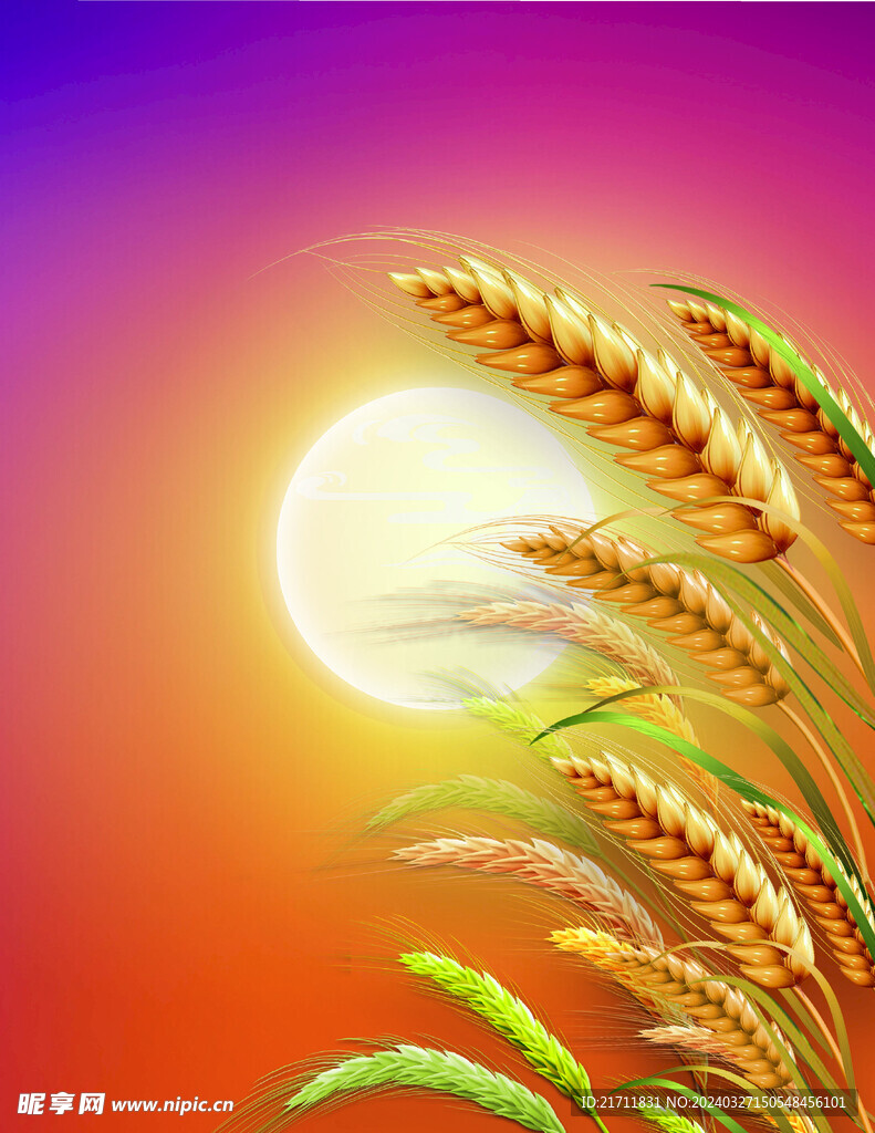 麦子麦穗