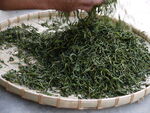 制茶炒茶