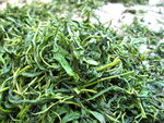 绿茶茶叶