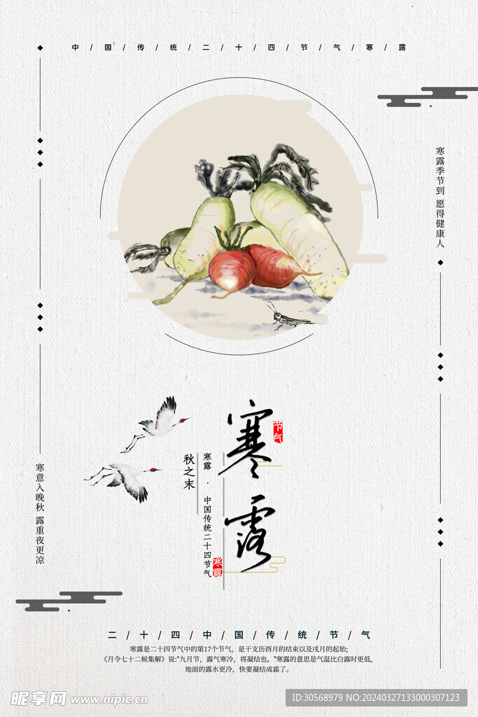 寒露节气海报