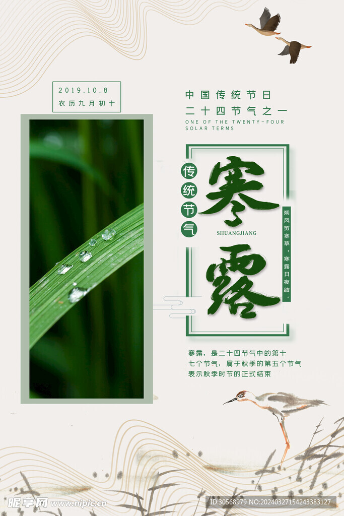 寒露海报