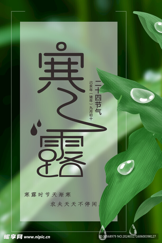 寒露海报