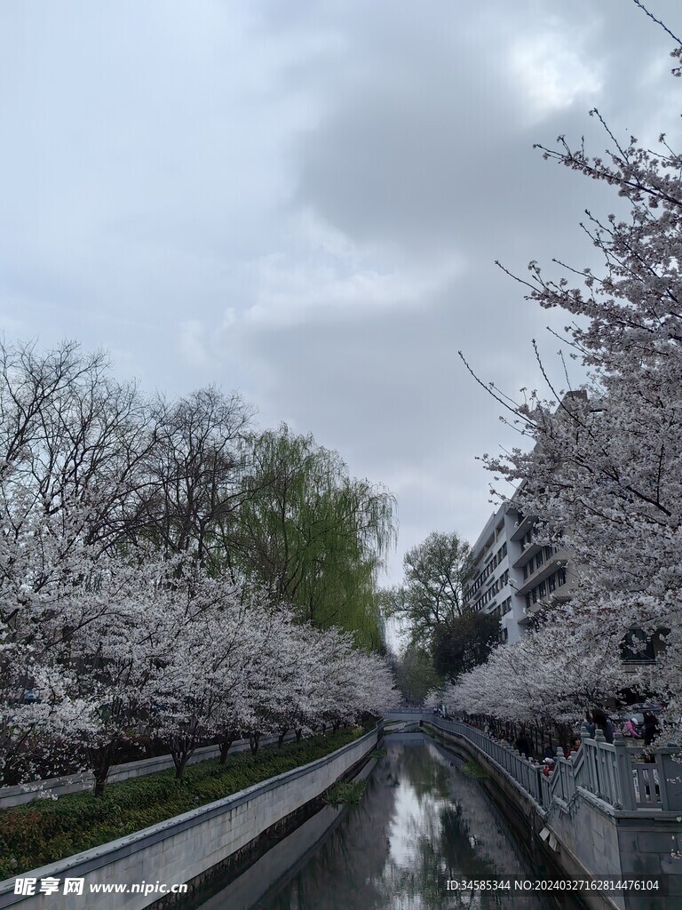 珍珠河