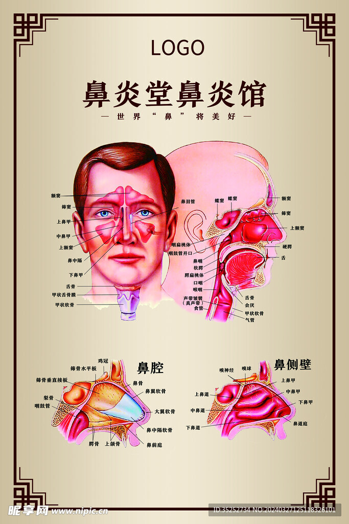 鼻炎部位结构图海报