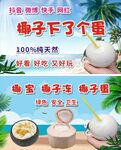 椰宝