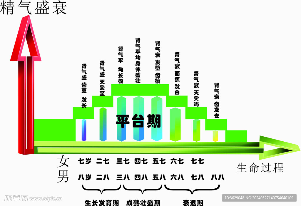 精气盛衰