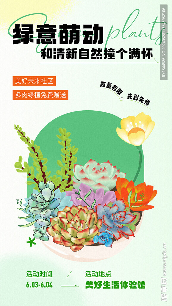 多肉活动