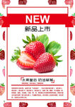 草莓新品上市