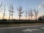 晚霞