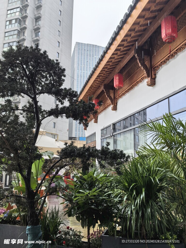 酒店餐厅绿化