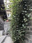 中式古典园林