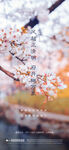 清明节海报 