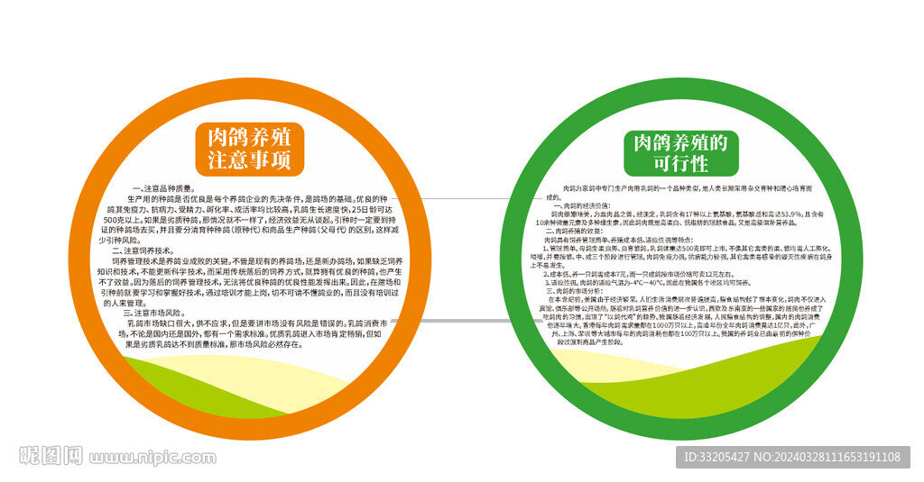 肉鸽养殖注意事项