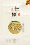 芒种 节气