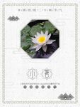 小暑 节气