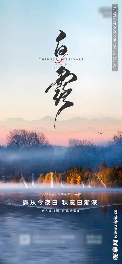 白露