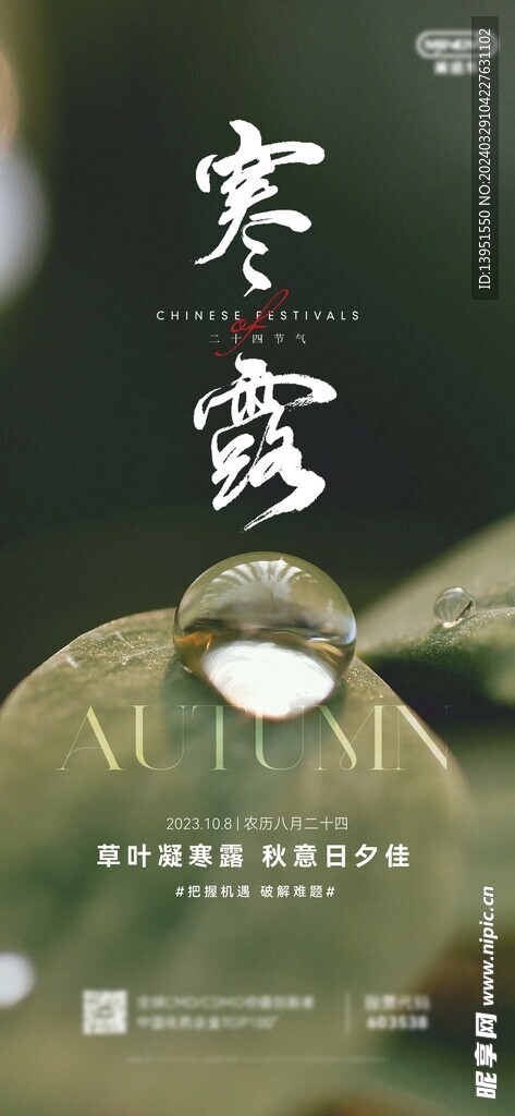 寒露