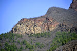 远山