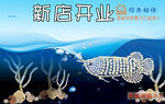 水族观赏鱼蓝色海报banner