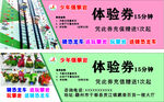 体验券卡片