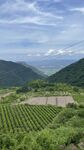 山顶风光