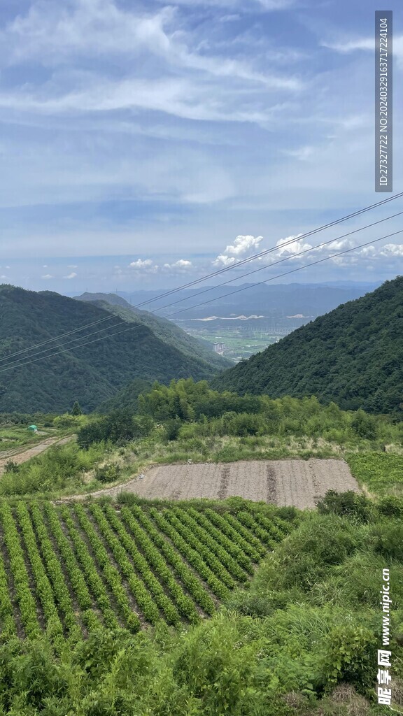 山顶风光